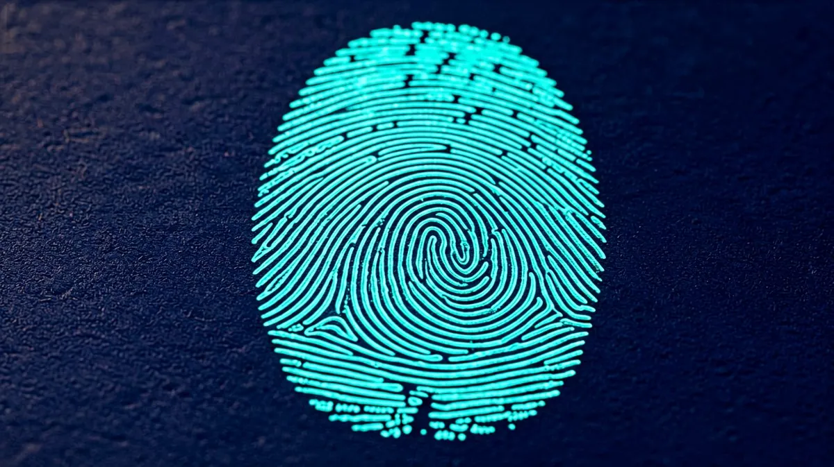 视频导航站用户评分可信度分析 - 久播网